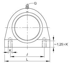 直立式軸承座單元 RSHEY50-TV-VA, 塑料軸承座，內圈帶平頭螺釘?shù)耐馇蛎媲蜉S承，耐腐蝕設計，R 型密封